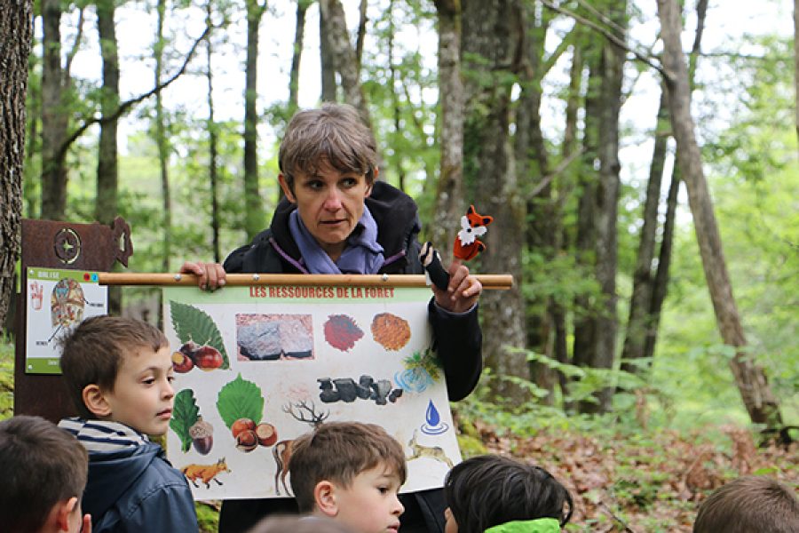 Découverte racontée de la forêt