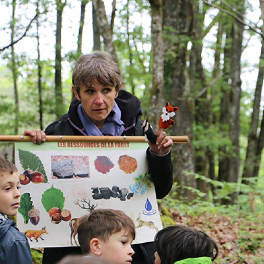 Au Fil du Temps - Séance Découverte racontée de la Forêt ok