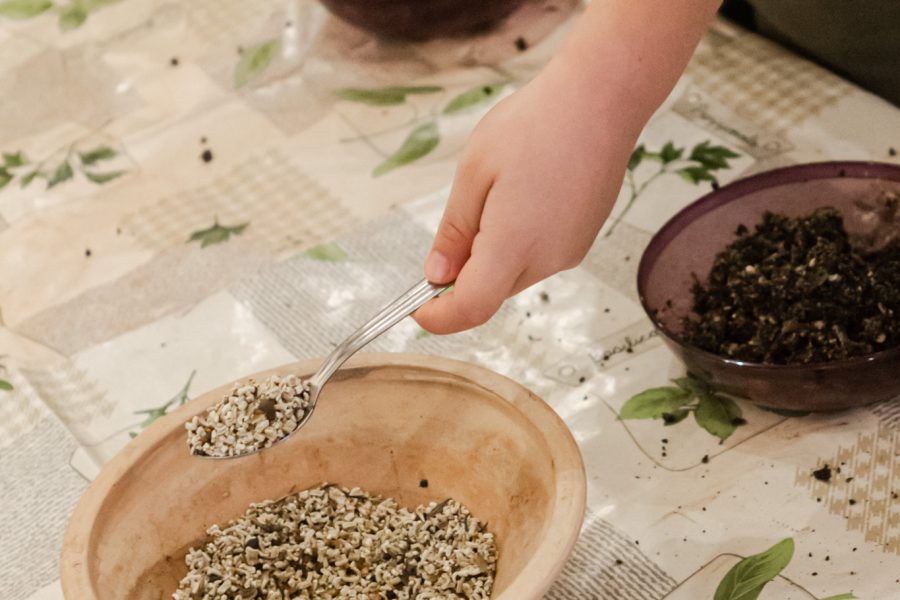 Graines de Jardinier