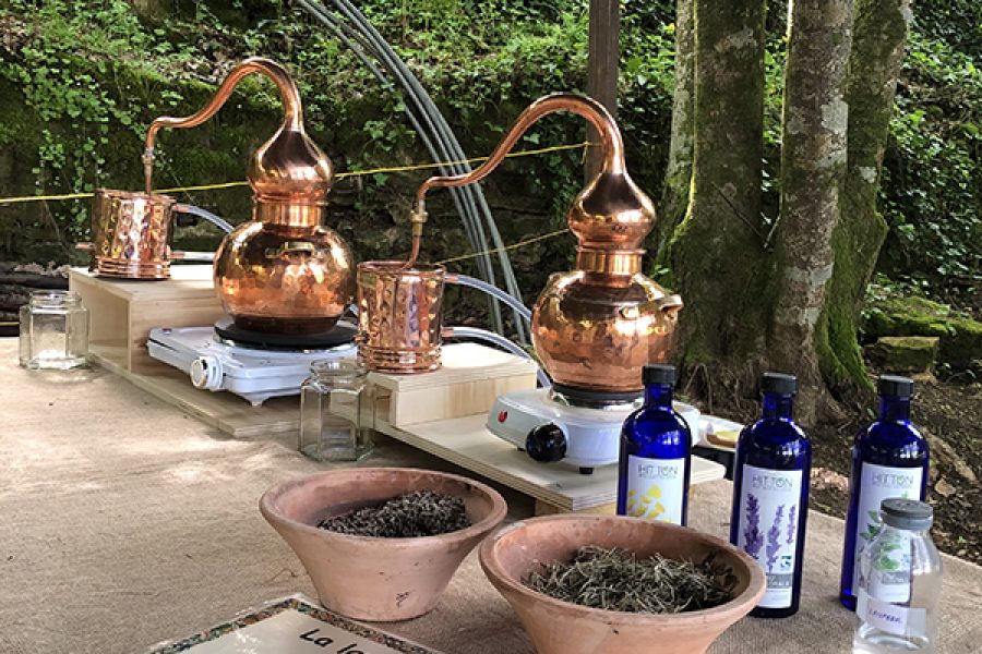 Santé et Hygiène par les plantes