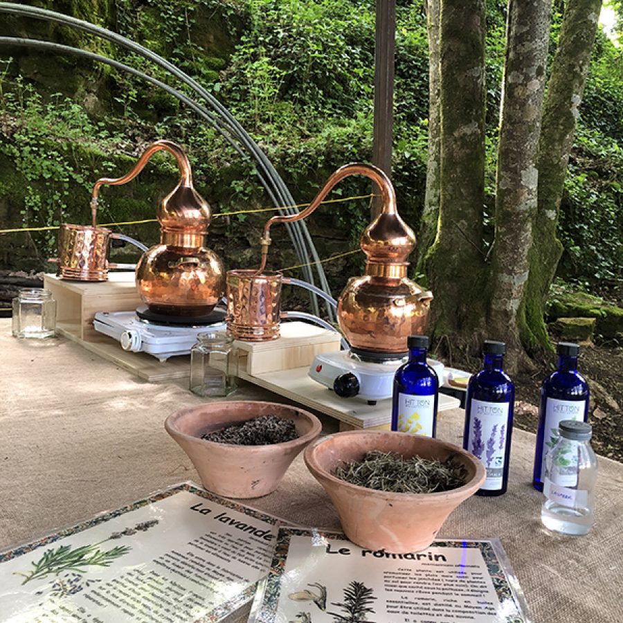 Au Fil du Temps - Séance Santé et hygiène par les plantes ok