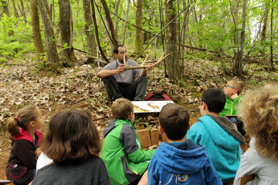 Randonnée en forêt