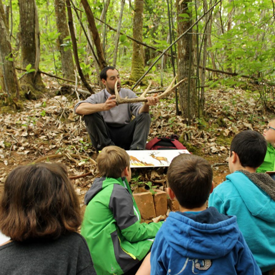 Au Fil du Temps - Site Pédagogique - Randonnée en forêt