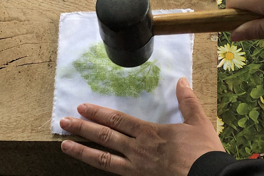 Teinture et impression végétale