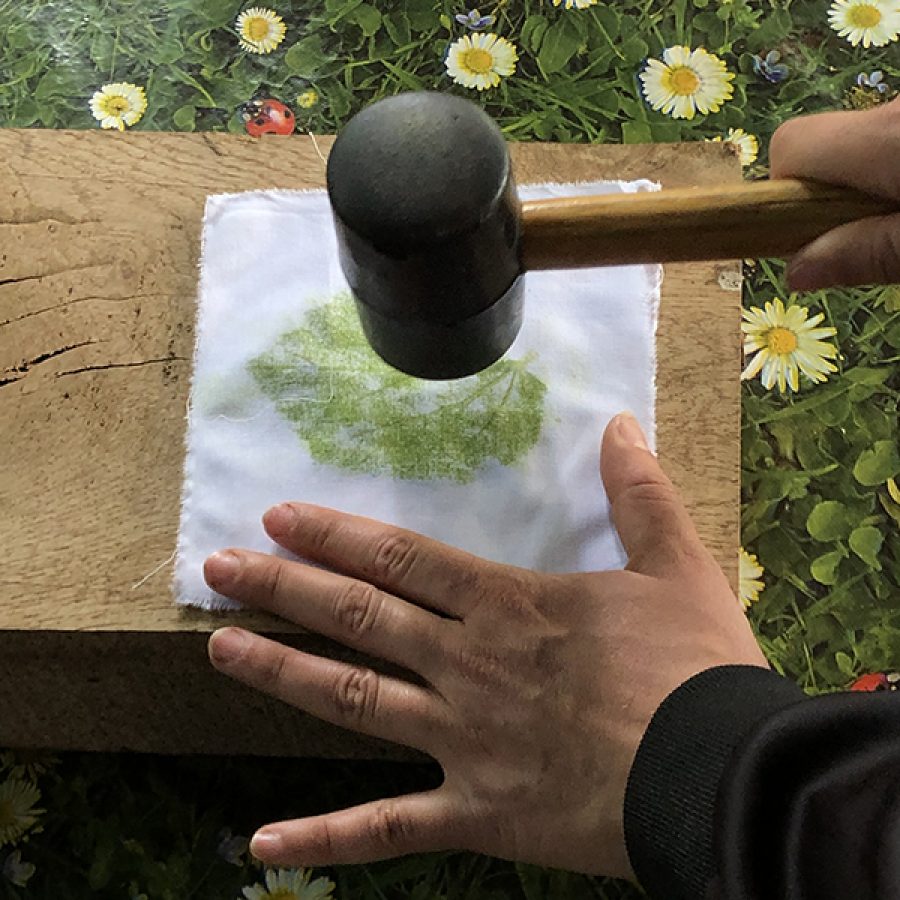 Au Fil du Temps - Site Pédagogique - Teinture et Impression Végétale ok