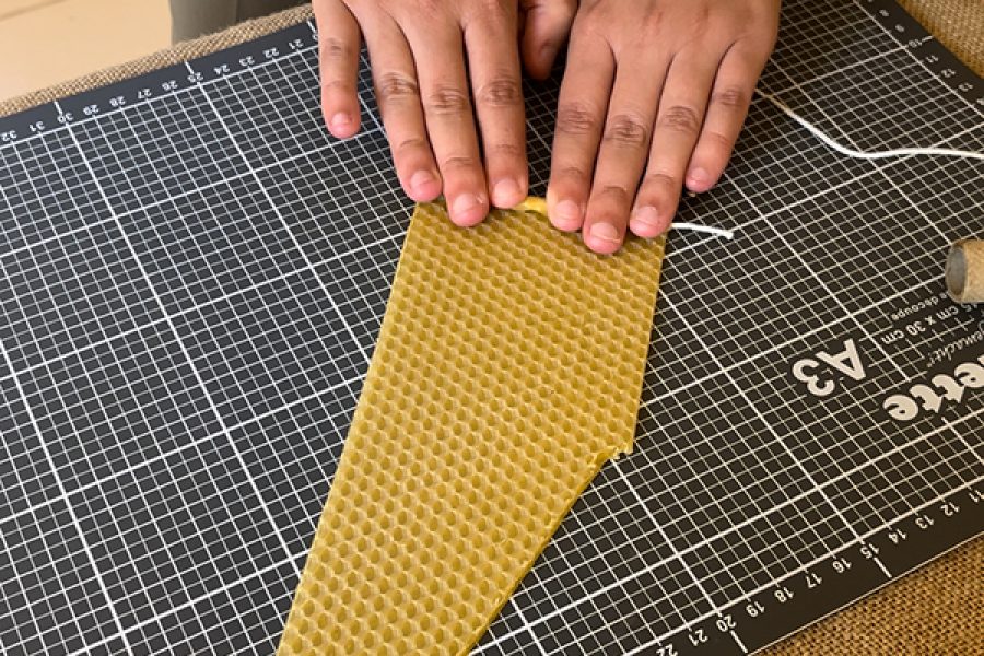 Visite thématique Abeilles et Insectes Pollinisateurs