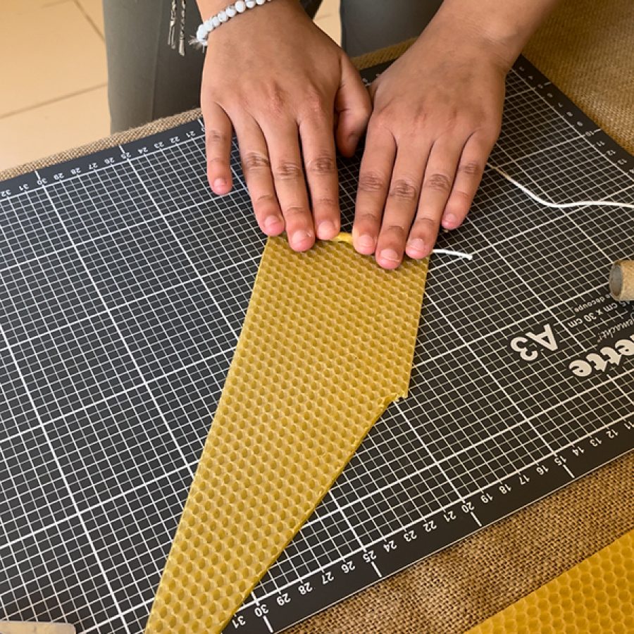 Au Fil du Temps - Site Pédagogique - Visite Abeilles et Insectes Pollinisateurs ok