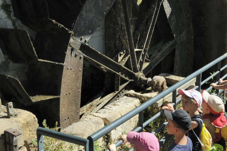 Visite du Moulin et Atelier papier